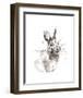 Rabbit-Philippe Debongnie-Framed Art Print