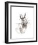 Rabbit-Philippe Debongnie-Framed Art Print