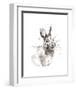 Rabbit-Philippe Debongnie-Framed Art Print