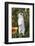 Rabbit-Lynn M^ Stone-Framed Photographic Print