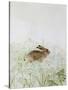 Rabbit-Jane Neville-Stretched Canvas