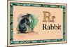 Rabbit-null-Mounted Art Print