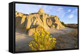 Rabbitbrush and Badlands, Theodore Roosevelt NP, North Dakota, USA-Chuck Haney-Framed Stretched Canvas