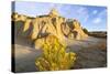 Rabbitbrush and Badlands, Theodore Roosevelt NP, North Dakota, USA-Chuck Haney-Stretched Canvas