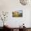 Rabbitbrush and Badlands, Theodore Roosevelt NP, North Dakota, USA-Chuck Haney-Photographic Print displayed on a wall