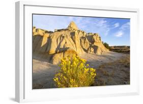 Rabbitbrush and Badlands, Theodore Roosevelt NP, North Dakota, USA-Chuck Haney-Framed Photographic Print