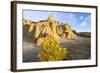 Rabbitbrush and Badlands, Theodore Roosevelt NP, North Dakota, USA-Chuck Haney-Framed Photographic Print