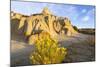 Rabbitbrush and Badlands, Theodore Roosevelt NP, North Dakota, USA-Chuck Haney-Mounted Photographic Print