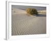Rabbitbrush and bird tracks in wind-sculpted white gypsum dunes, White Sands National Monument-Bob Gibbons-Framed Photographic Print