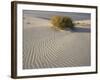 Rabbitbrush and bird tracks in wind-sculpted white gypsum dunes, White Sands National Monument-Bob Gibbons-Framed Photographic Print