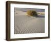 Rabbitbrush and bird tracks in wind-sculpted white gypsum dunes, White Sands National Monument-Bob Gibbons-Framed Photographic Print