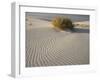 Rabbitbrush and bird tracks in wind-sculpted white gypsum dunes, White Sands National Monument-Bob Gibbons-Framed Photographic Print