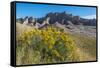 Rabbitbrush and Grasslands, Badland National Park, South Dakota-Howie Garber-Framed Stretched Canvas
