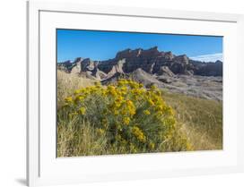 Rabbitbrush and Grasslands, Badland National Park, South Dakota-Howie Garber-Framed Photographic Print