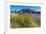 Rabbitbrush and Grasslands, Badland National Park, South Dakota-Howie Garber-Framed Photographic Print