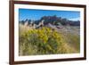 Rabbitbrush and Grasslands, Badland National Park, South Dakota-Howie Garber-Framed Photographic Print