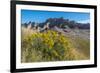 Rabbitbrush and Grasslands, Badland National Park, South Dakota-Howie Garber-Framed Photographic Print