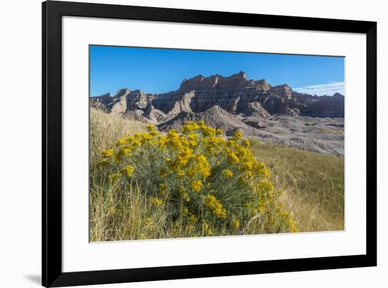 Rabbitbrush and Grasslands, Badland National Park, South Dakota-Howie Garber-Framed Photographic Print
