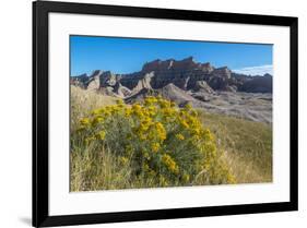 Rabbitbrush and Grasslands, Badland National Park, South Dakota-Howie Garber-Framed Photographic Print