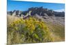 Rabbitbrush and Grasslands, Badland National Park, South Dakota-Howie Garber-Mounted Photographic Print