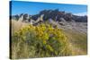 Rabbitbrush and Grasslands, Badland National Park, South Dakota-Howie Garber-Stretched Canvas