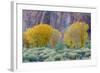 Rabbitbrush Outside of Moab, Utah-Howie Garber-Framed Photographic Print