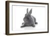 Rabbits 001-Andrea Mascitti-Framed Photographic Print