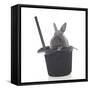 Rabbits 002-Andrea Mascitti-Framed Stretched Canvas