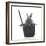 Rabbits 002-Andrea Mascitti-Framed Photographic Print