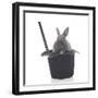 Rabbits 002-Andrea Mascitti-Framed Photographic Print