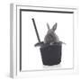 Rabbits 002-Andrea Mascitti-Framed Photographic Print