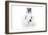 Rabbits 012-Andrea Mascitti-Framed Photographic Print