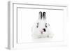 Rabbits 012-Andrea Mascitti-Framed Photographic Print