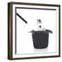 Rabbits 013-Andrea Mascitti-Framed Photographic Print