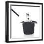 Rabbits 013-Andrea Mascitti-Framed Photographic Print