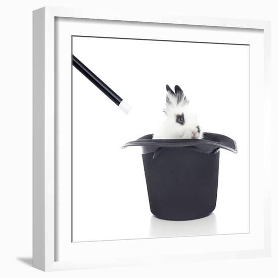 Rabbits 013-Andrea Mascitti-Framed Photographic Print