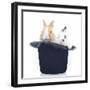 Rabbits 014-Andrea Mascitti-Framed Photographic Print