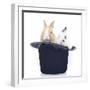 Rabbits 014-Andrea Mascitti-Framed Photographic Print