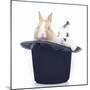 Rabbits 014-Andrea Mascitti-Mounted Photographic Print