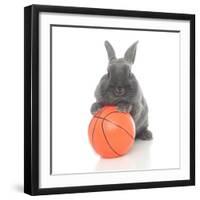 Rabbits 016-Andrea Mascitti-Framed Photographic Print