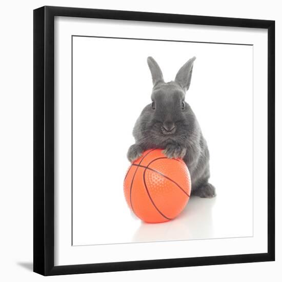 Rabbits 016-Andrea Mascitti-Framed Photographic Print