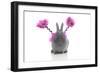 Rabbits 021-Andrea Mascitti-Framed Photographic Print