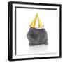 Rabbits 022-Andrea Mascitti-Framed Photographic Print