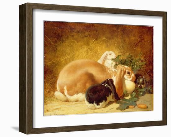 Rabbits, 1852-John Frederick Herring Jnr-Framed Giclee Print