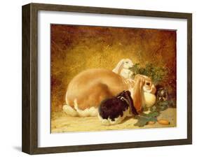 Rabbits, 1852-John Frederick Herring Jnr-Framed Giclee Print