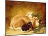 Rabbits, 1852-John Frederick Herring Jnr-Mounted Giclee Print