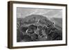 Rabbits and Fox-H Weekes-Framed Photographic Print