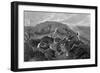 Rabbits and Fox-H Weekes-Framed Photographic Print