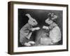 Rabbits and Handbag-null-Framed Photographic Print