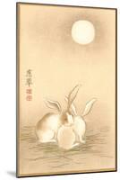 Rabbits and the Moon-null-Mounted Art Print